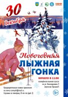 Новогодняя лыжная гонка Новогодняя лыжная гонка